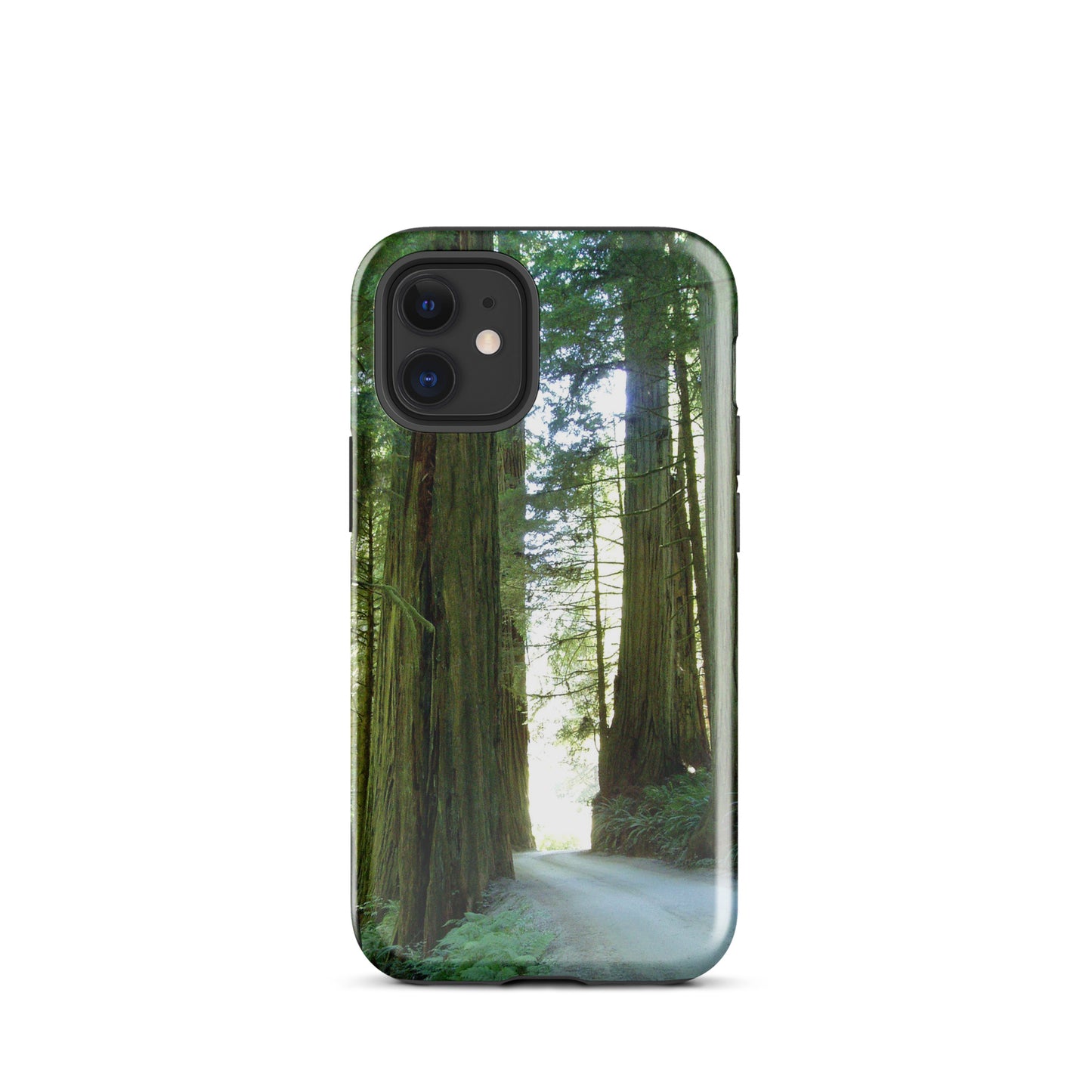 Wandering Ferns and Giants - Tough Case for iPhone ( 15 Pro Max – 11 ) - Fry1Productions