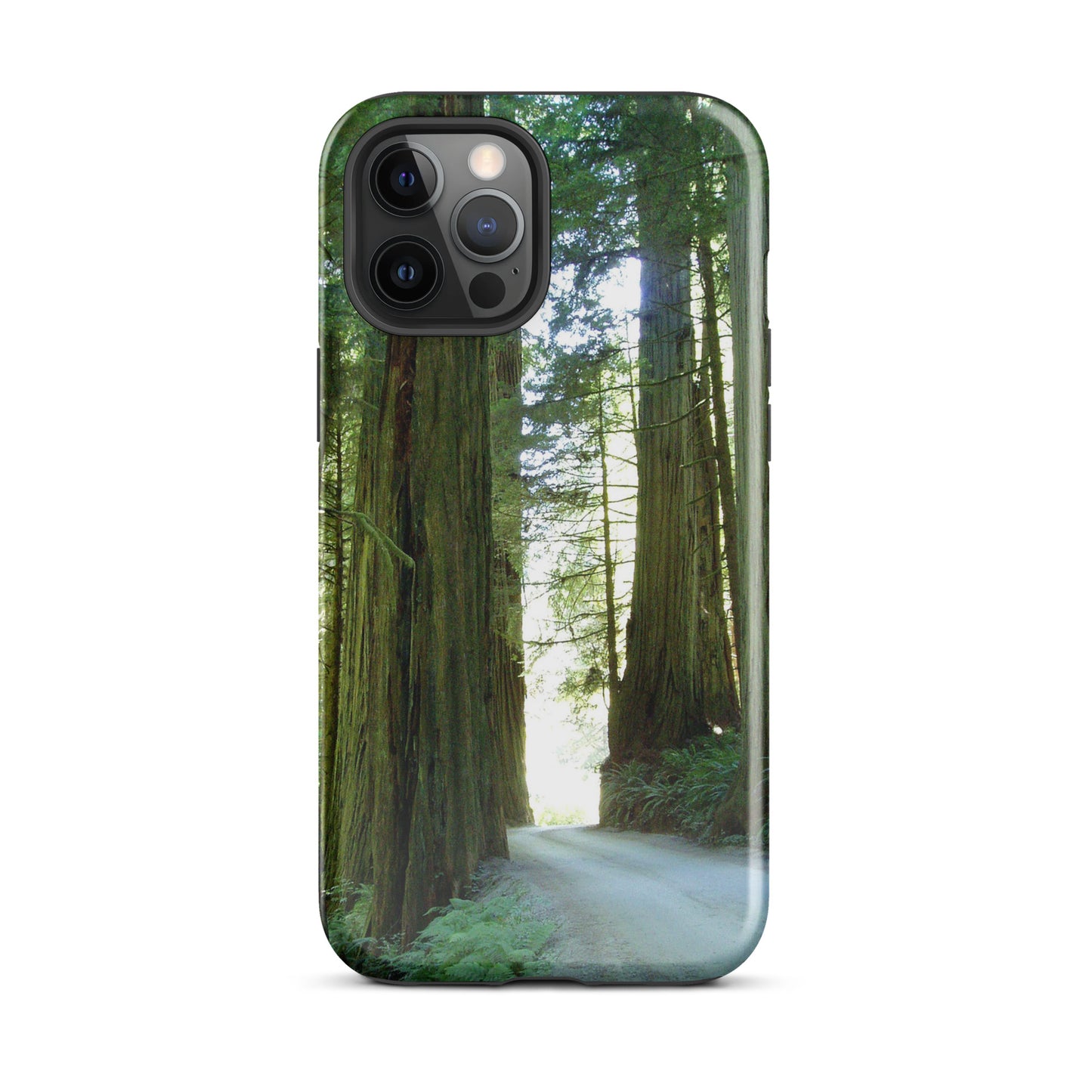 Wandering Ferns and Giants - Tough Case for iPhone ( 15 Pro Max – 11 ) - Fry1Productions