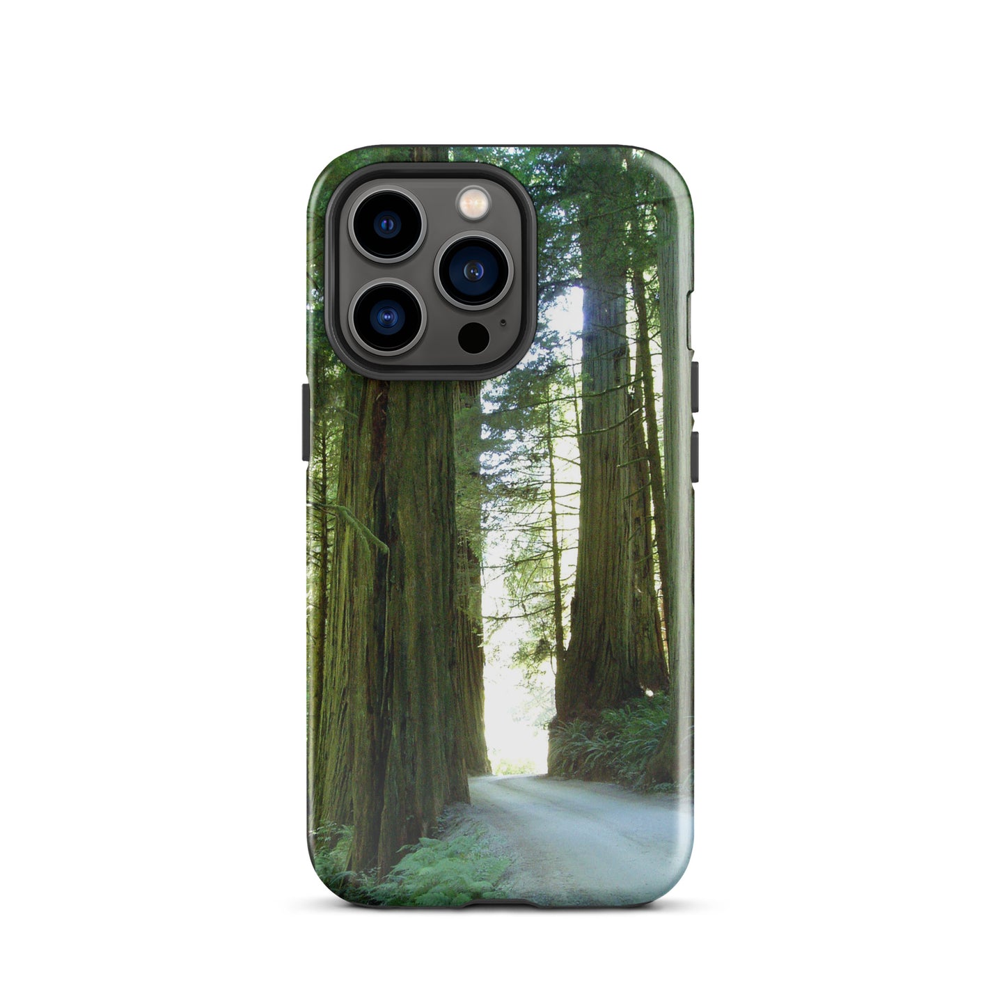 Wandering Ferns and Giants - Tough Case for iPhone ( 15 Pro Max – 11 ) - Fry1Productions