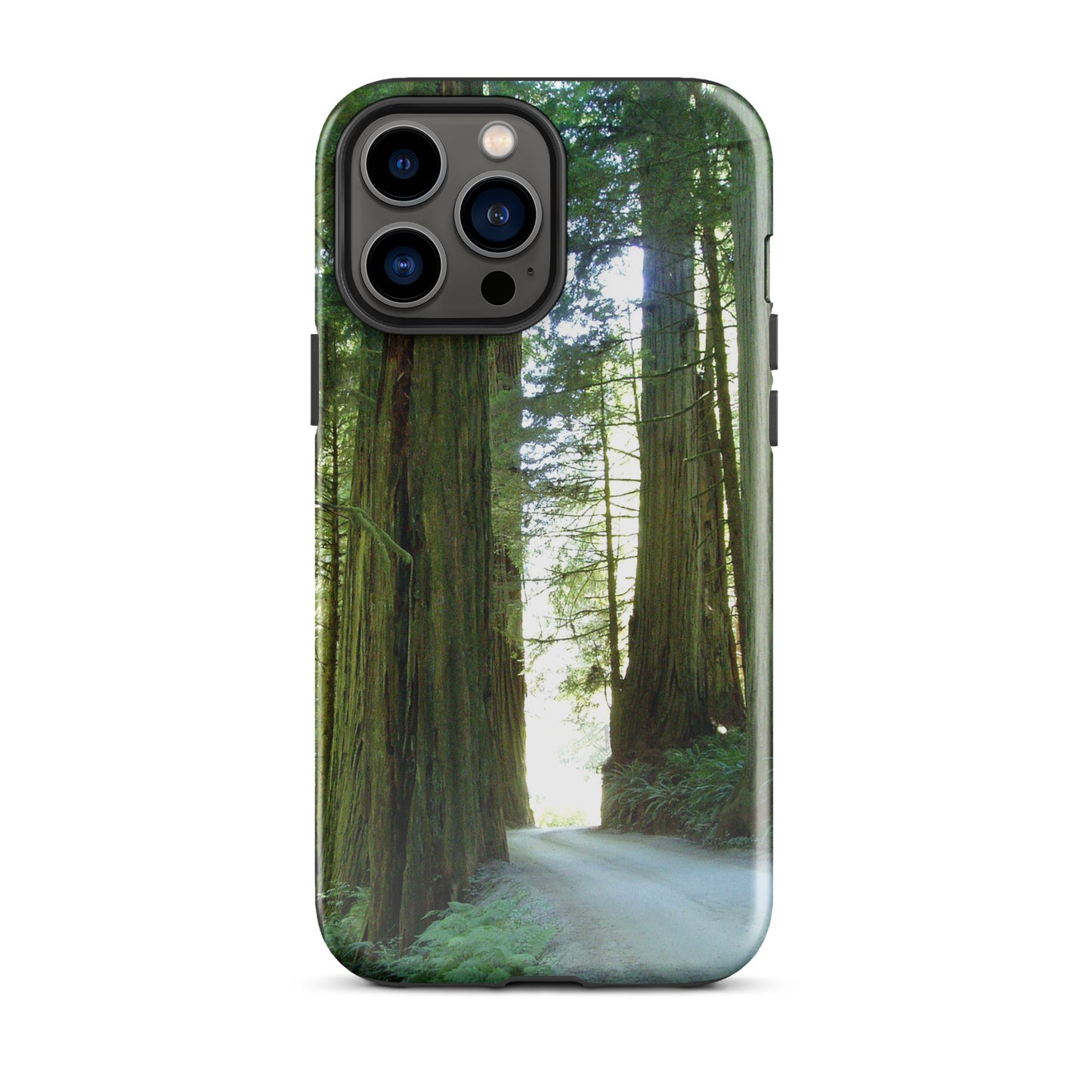 Wandering Ferns and Giants - Tough Case for iPhone ( 15 Pro Max – 11 ) - Fry1Productions