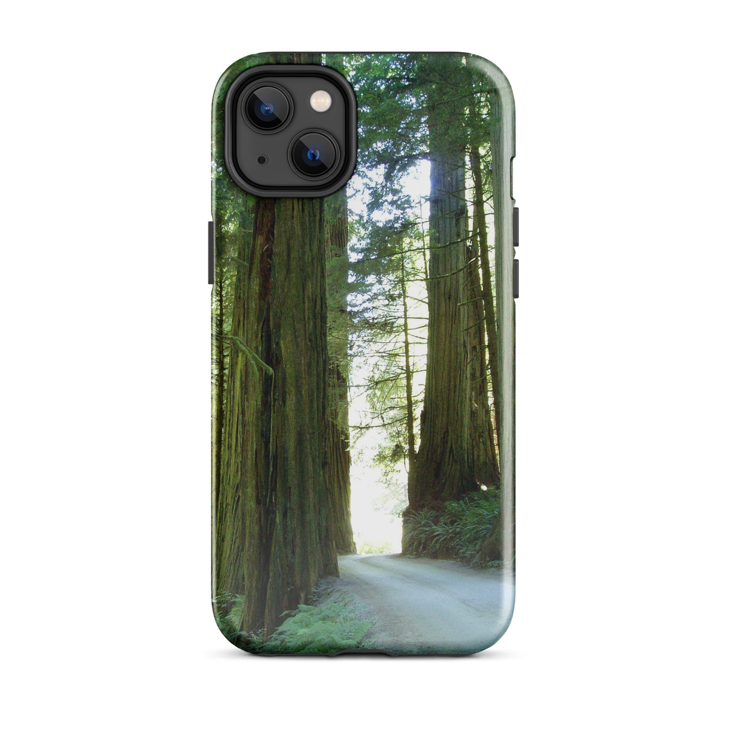 Wandering Ferns and Giants - Tough Case for iPhone ( 15 Pro Max – 11 ) - Fry1Productions