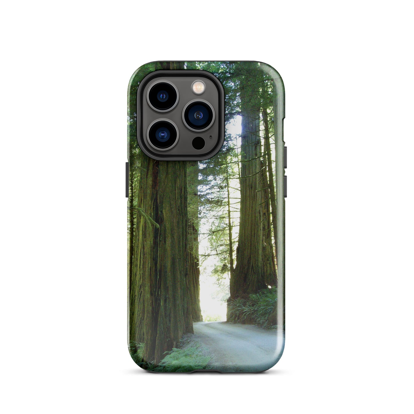 Wandering Ferns and Giants - Tough Case for iPhone ( 15 Pro Max – 11 ) - Fry1Productions