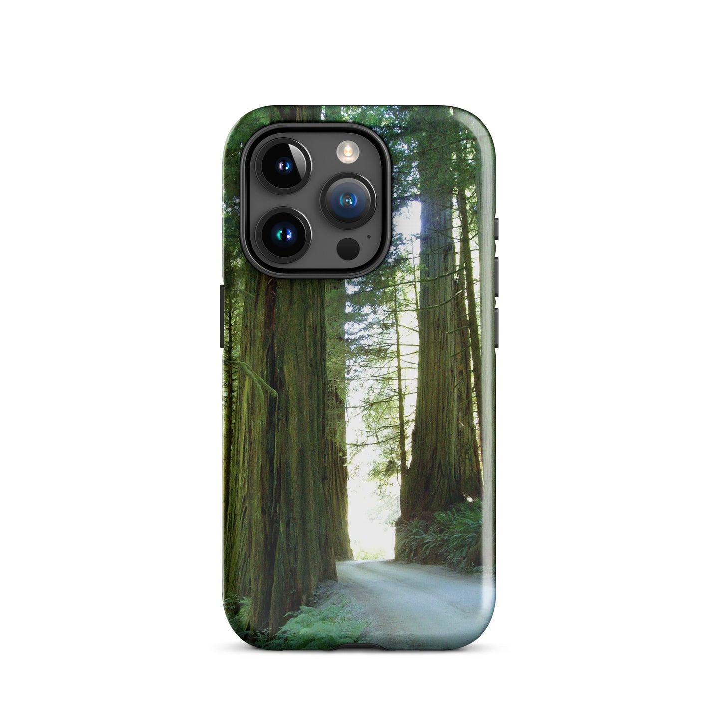 Wandering Ferns and Giants - Tough Case for iPhone ( 15 Pro Max – 11 ) - Fry1Productions