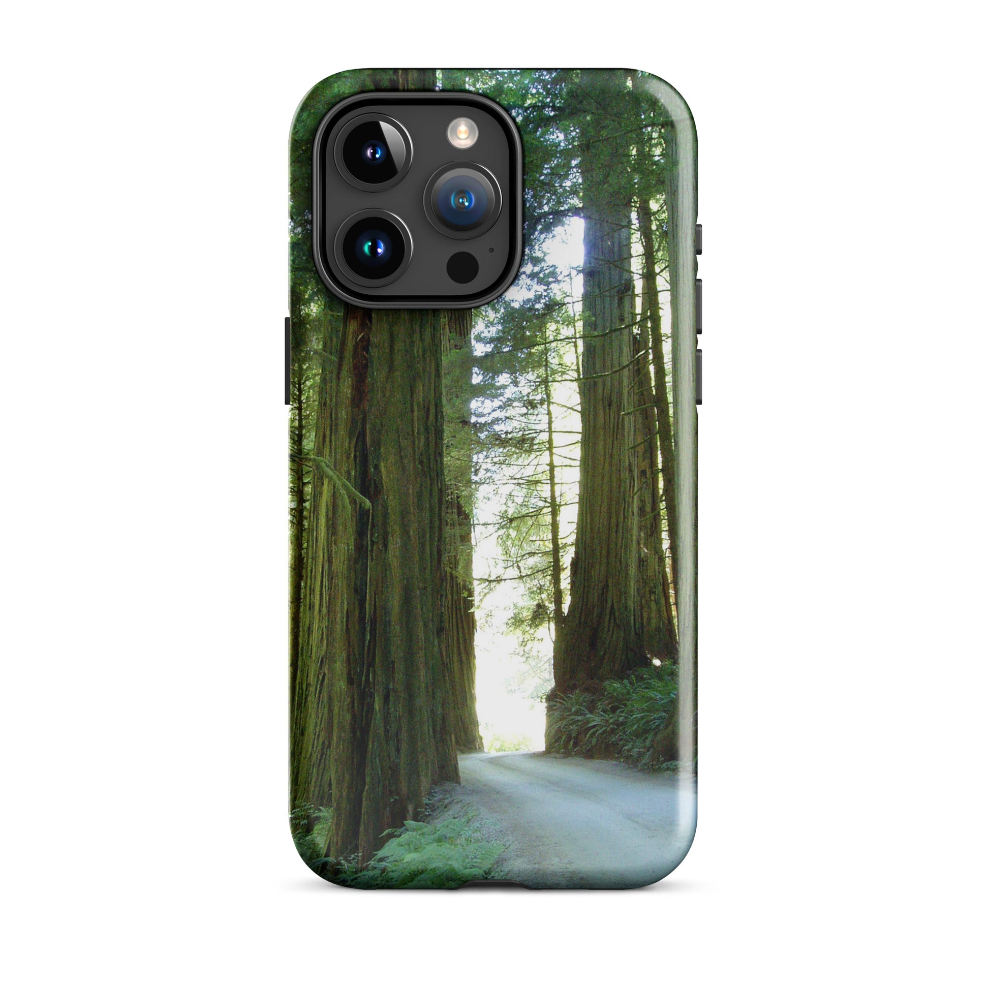 Wandering Ferns and Giants - Tough Case for iPhone ( 15 Pro Max – 11 ) - Fry1Productions