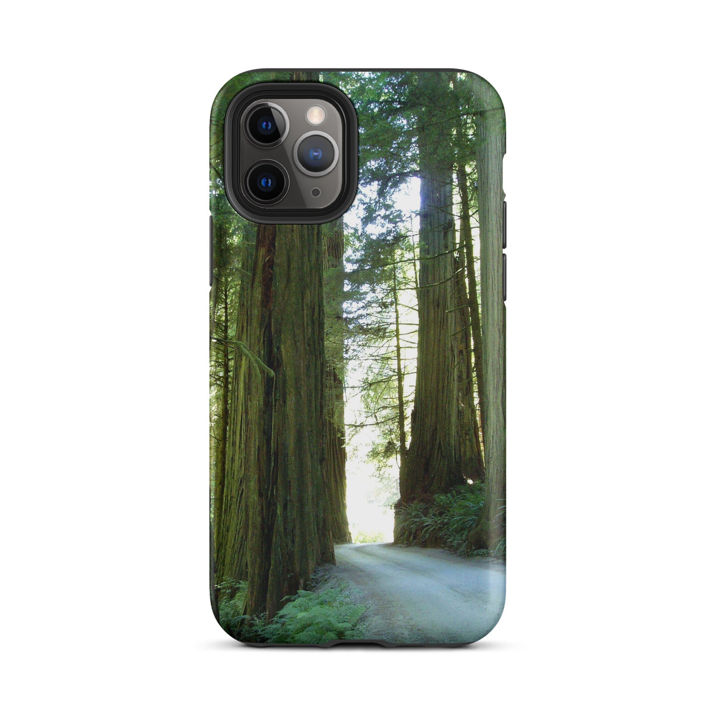 Wandering Ferns and Giants - Tough Case for iPhone ( 15 Pro Max – 11 ) - Fry1Productions