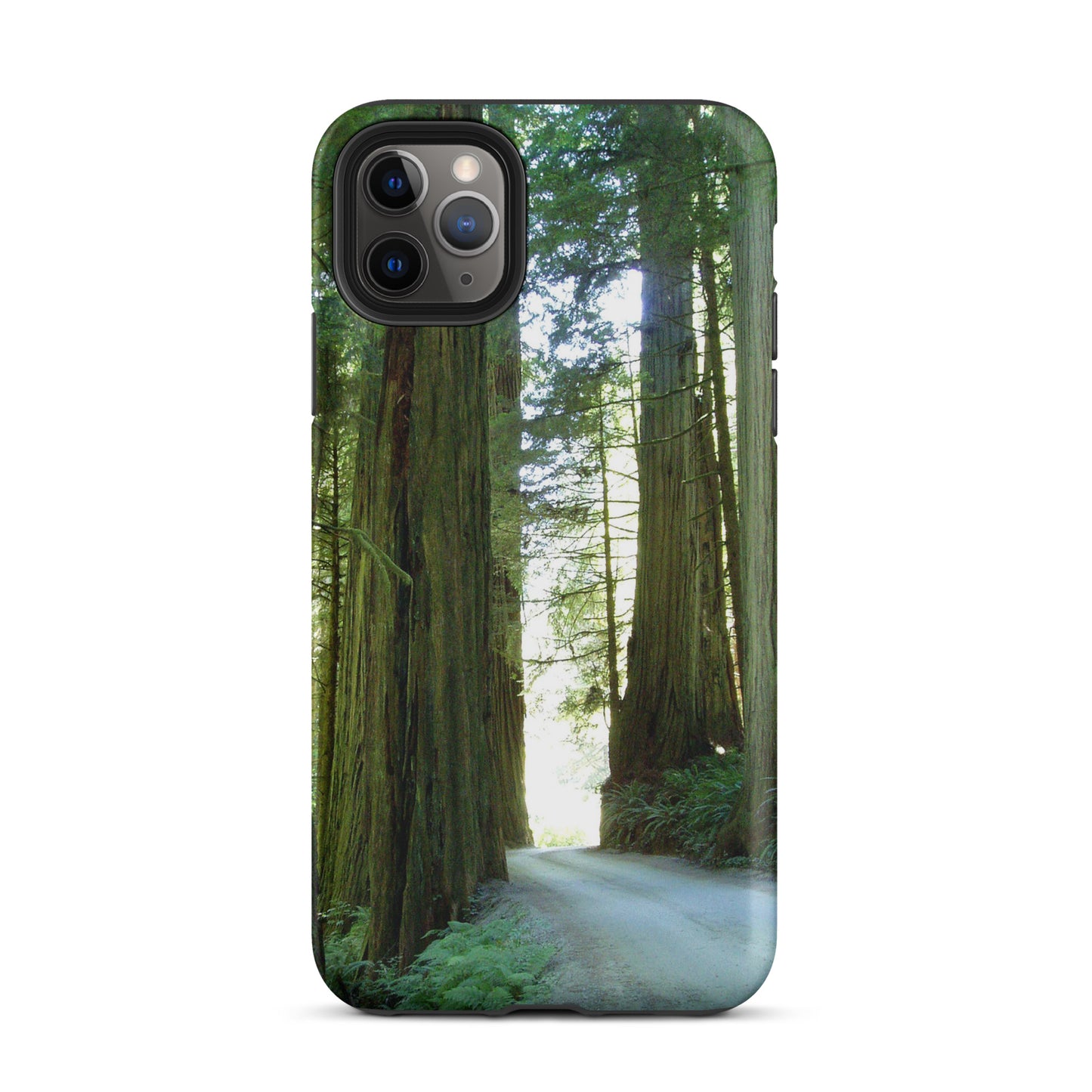 Wandering Ferns and Giants - Tough Case for iPhone ( 15 Pro Max – 11 ) - Fry1Productions