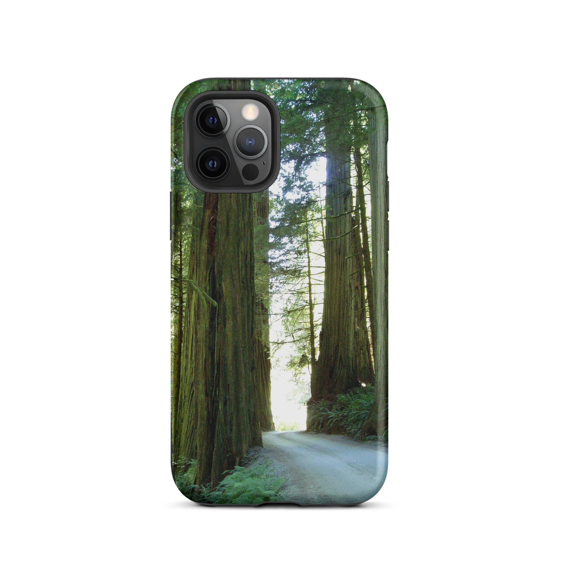 Wandering Ferns and Giants - Tough Case for iPhone ( 15 Pro Max – 11 ) - Fry1Productions