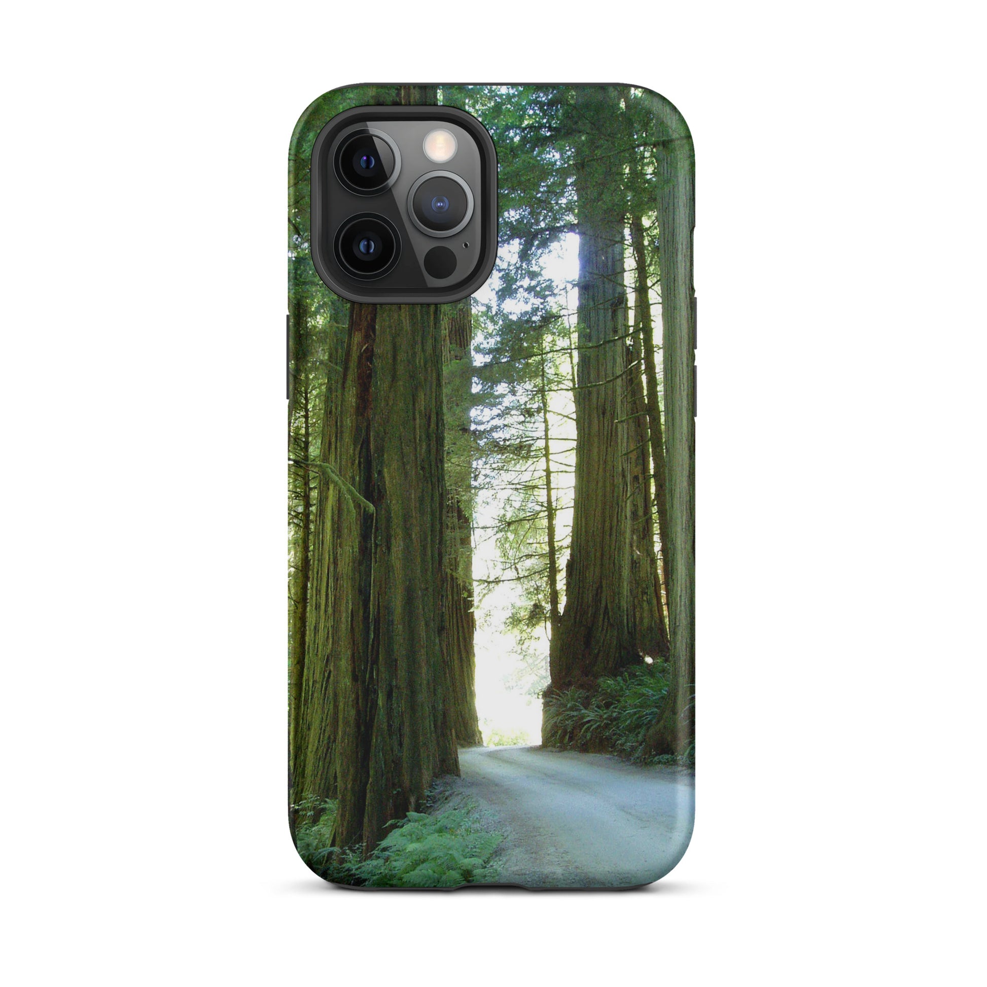 Wandering Ferns and Giants - Tough Case for iPhone ( 15 Pro Max – 11 ) - Fry1Productions