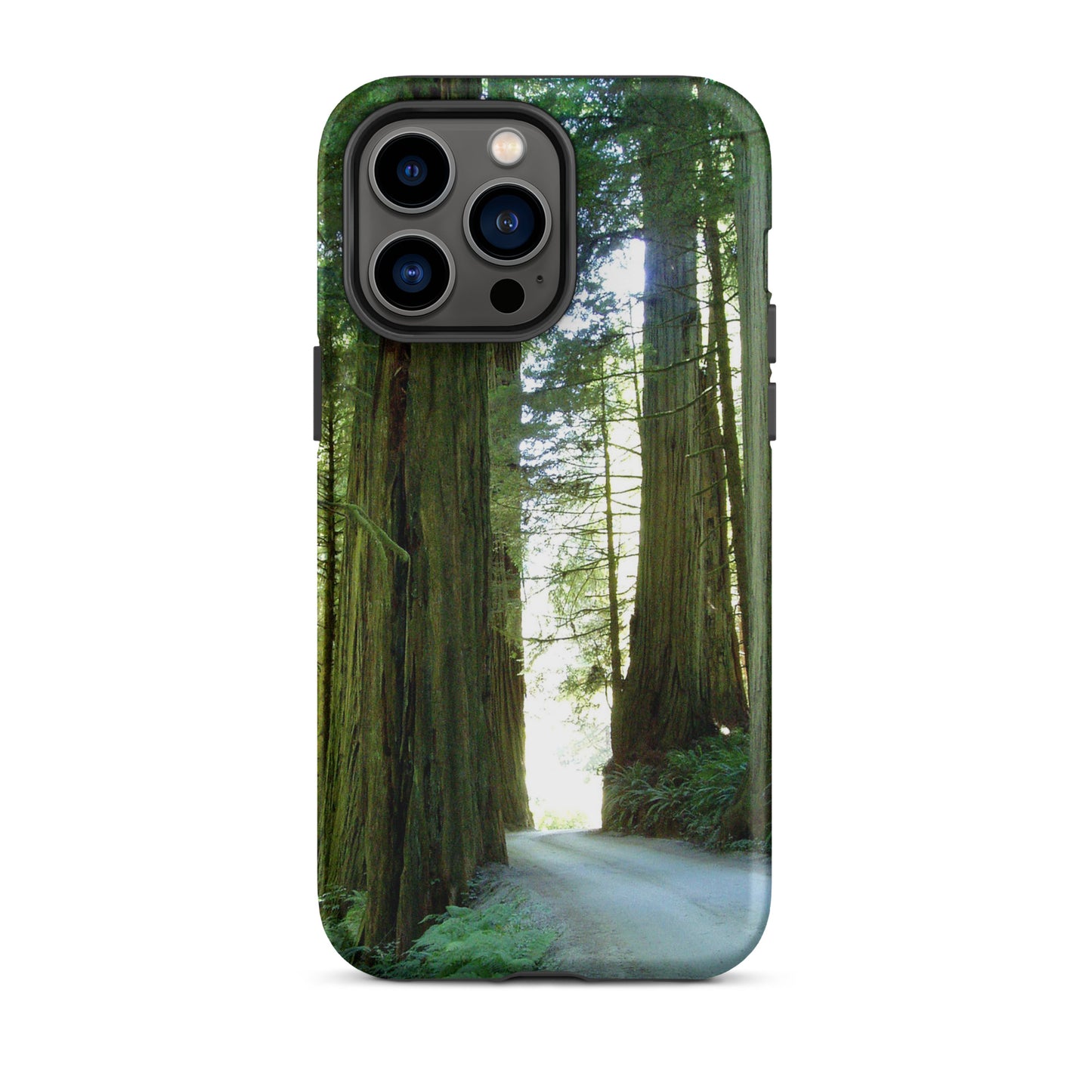 Wandering Ferns and Giants - Tough Case for iPhone ( 15 Pro Max – 11 ) - Fry1Productions