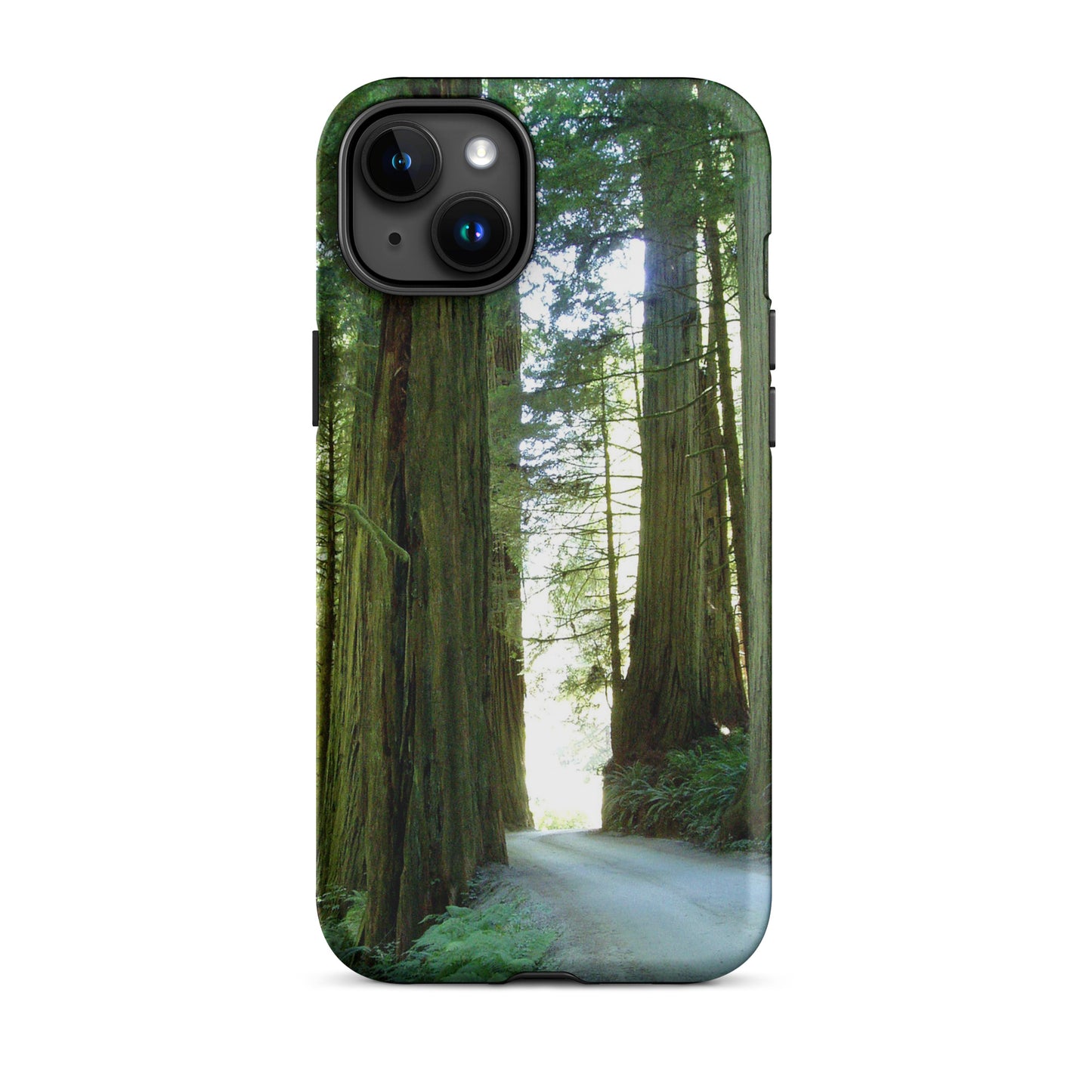 Wandering Ferns and Giants - Tough Case for iPhone ( 15 Pro Max – 11 ) - Fry1Productions