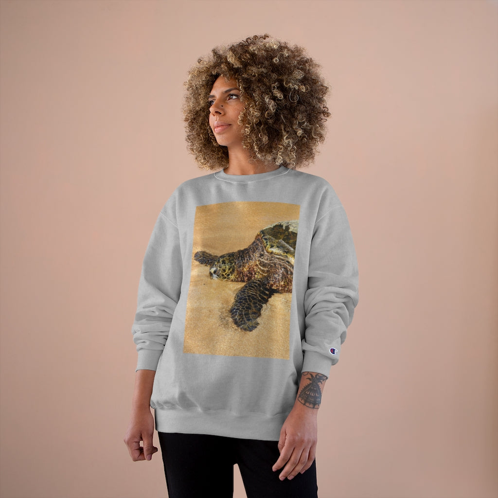 Glistening Journey - Champion Sweatshirt - Fry1Productions