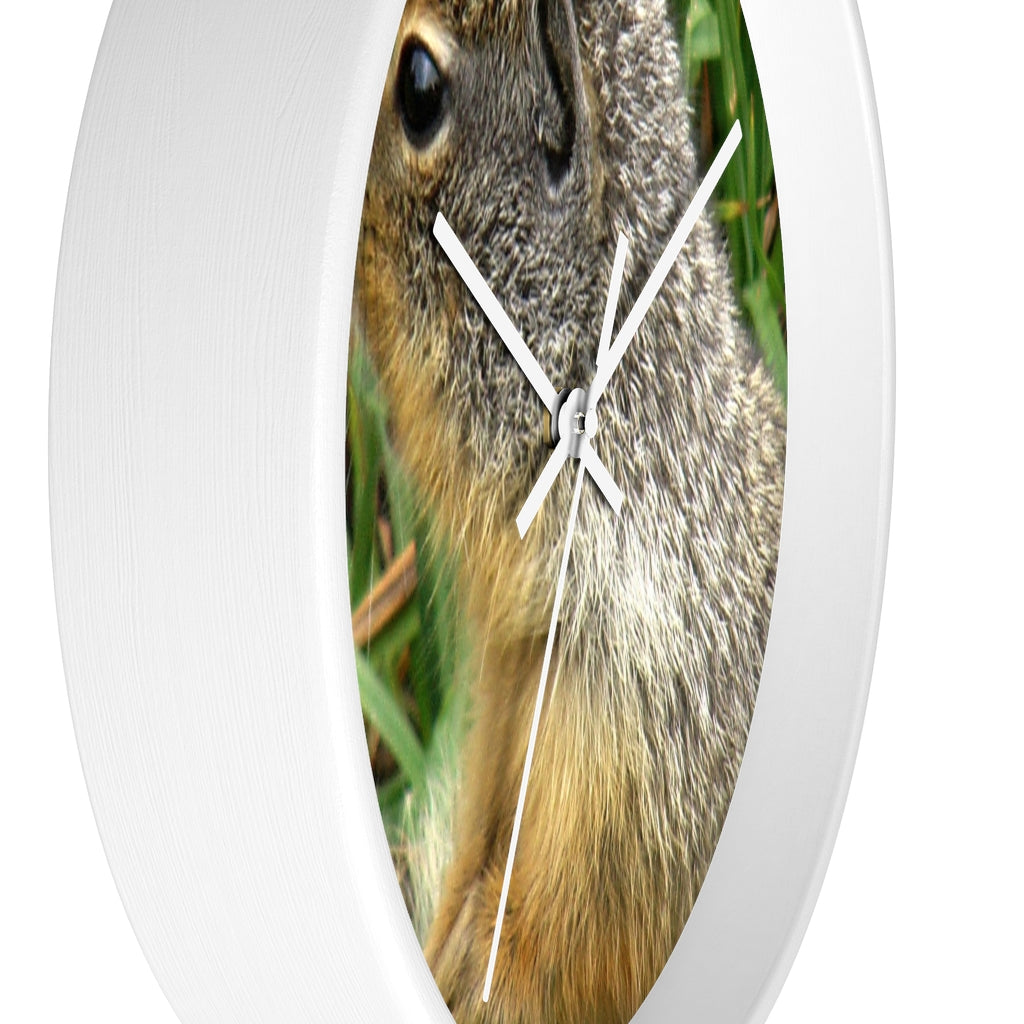 "Inquisitive Stare" - 10" Wooden Frame Wall Clock - Fry1Productions