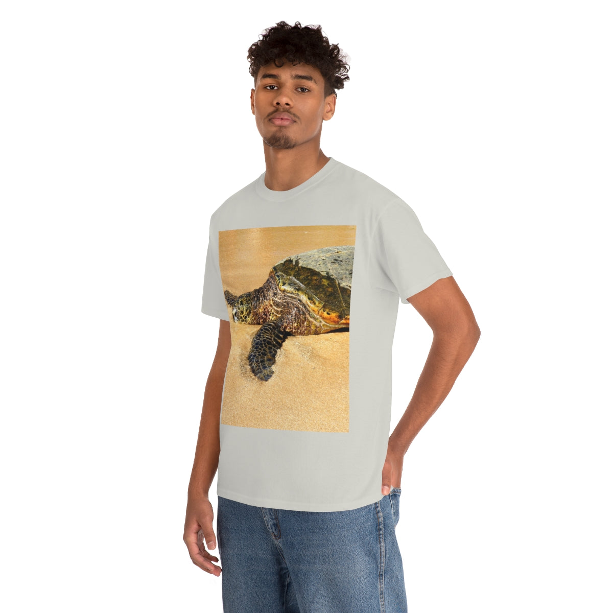 Glistening Journey - Unisex Heavy Cotton Tee - Fry1Productions