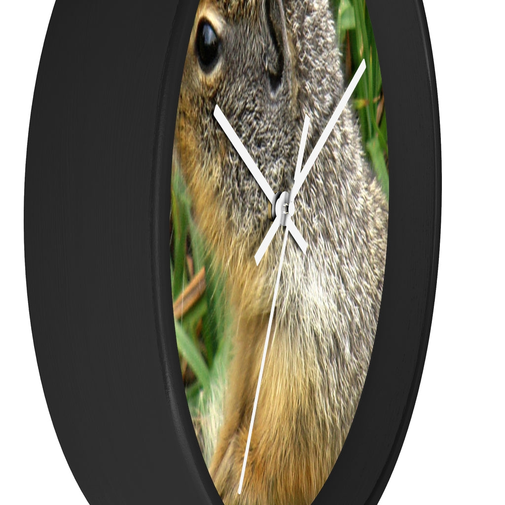 "Inquisitive Stare" - 10" Wooden Frame Wall Clock - Fry1Productions