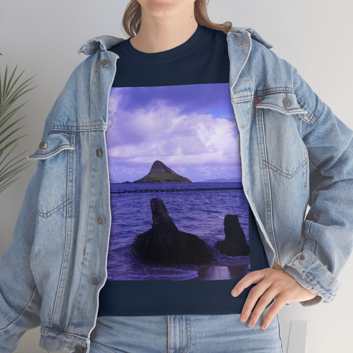 Wade To Chinaman's Hat - Unisex Heavy Cotton Tee - Fry1Productions