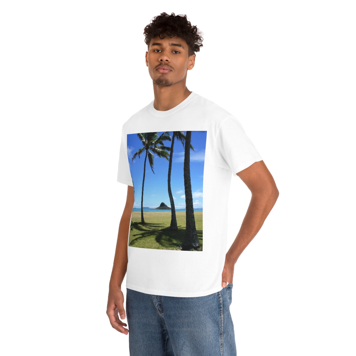 Visionary Dreams - Unisex Heavy Cotton Tee - Fry1Productions