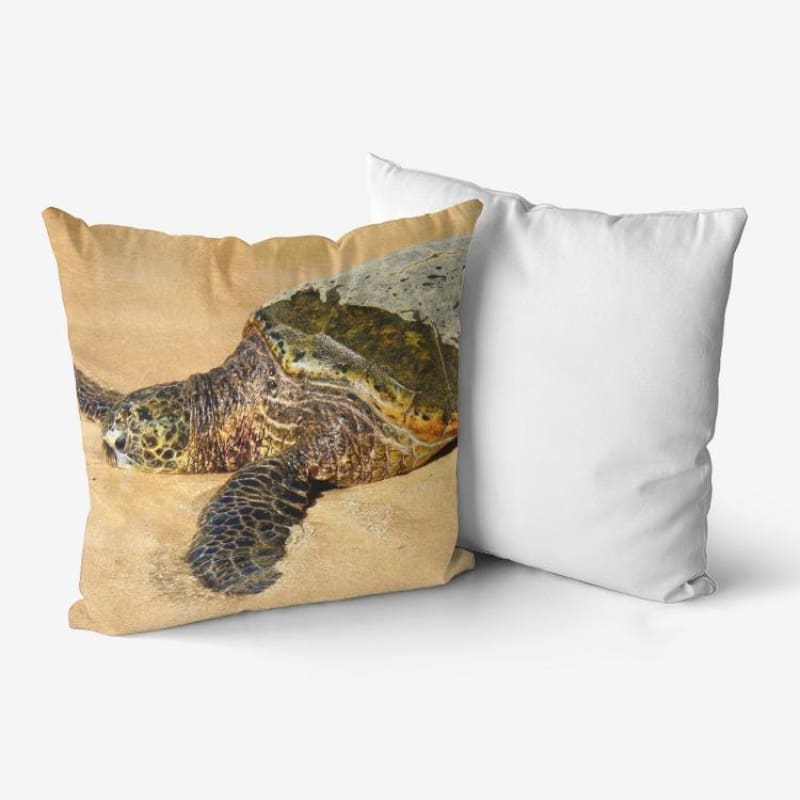 Glistening Journey -  Hypoallergenic Throw Pillow - Fry1Productions