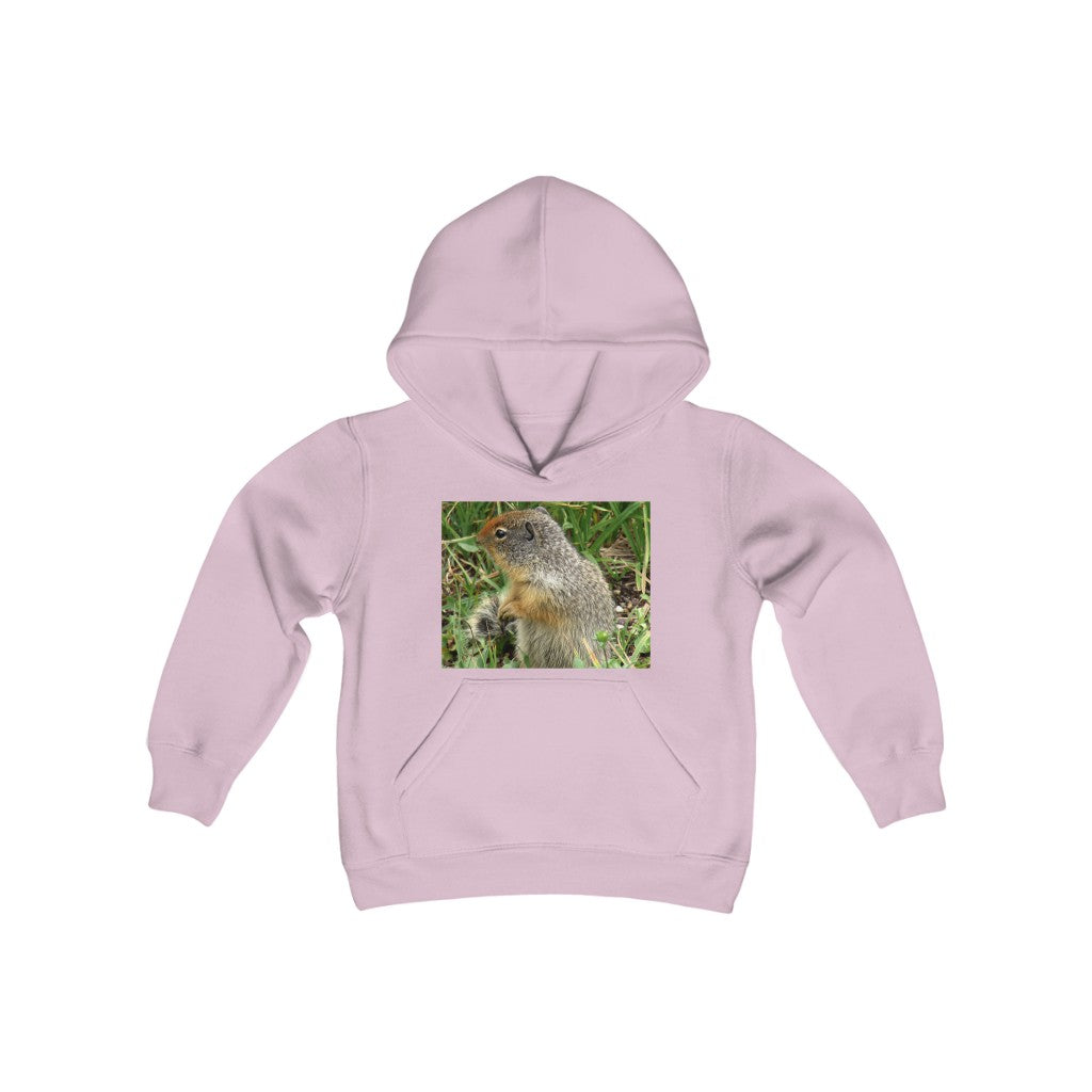 "Inquisitive Stare" - Youth Heavy Blend Hooded Sweatshirt - Fry1Productions