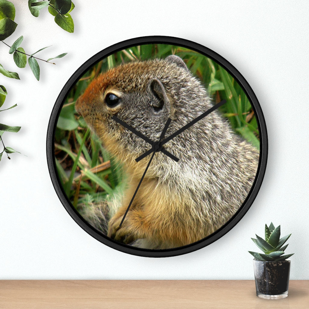 "Inquisitive Stare" - 10" Wooden Frame Wall Clock - Fry1Productions