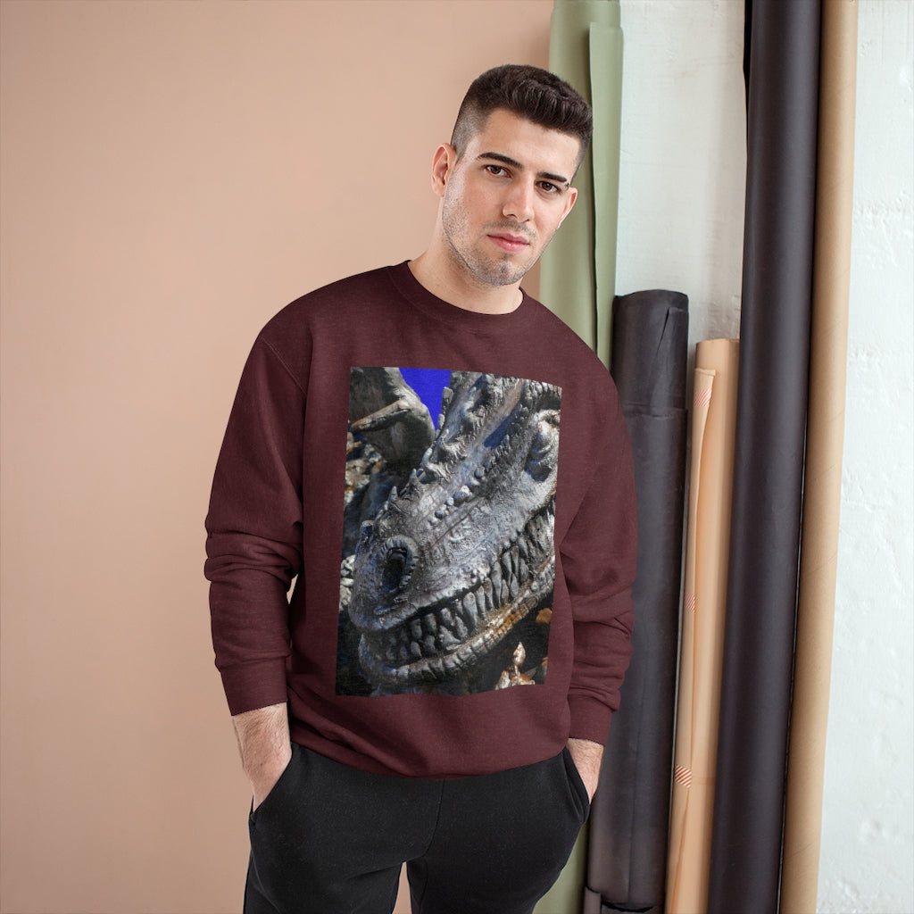 Delectable Vision - Champion Sweatshirt - Fry1Productions