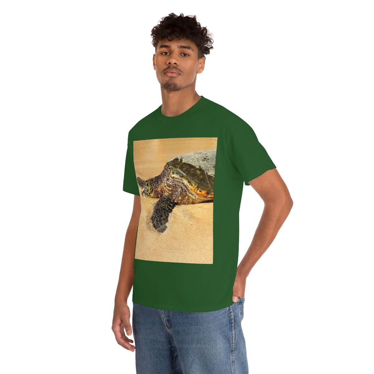 Glistening Journey - Unisex Heavy Cotton Tee - Fry1Productions