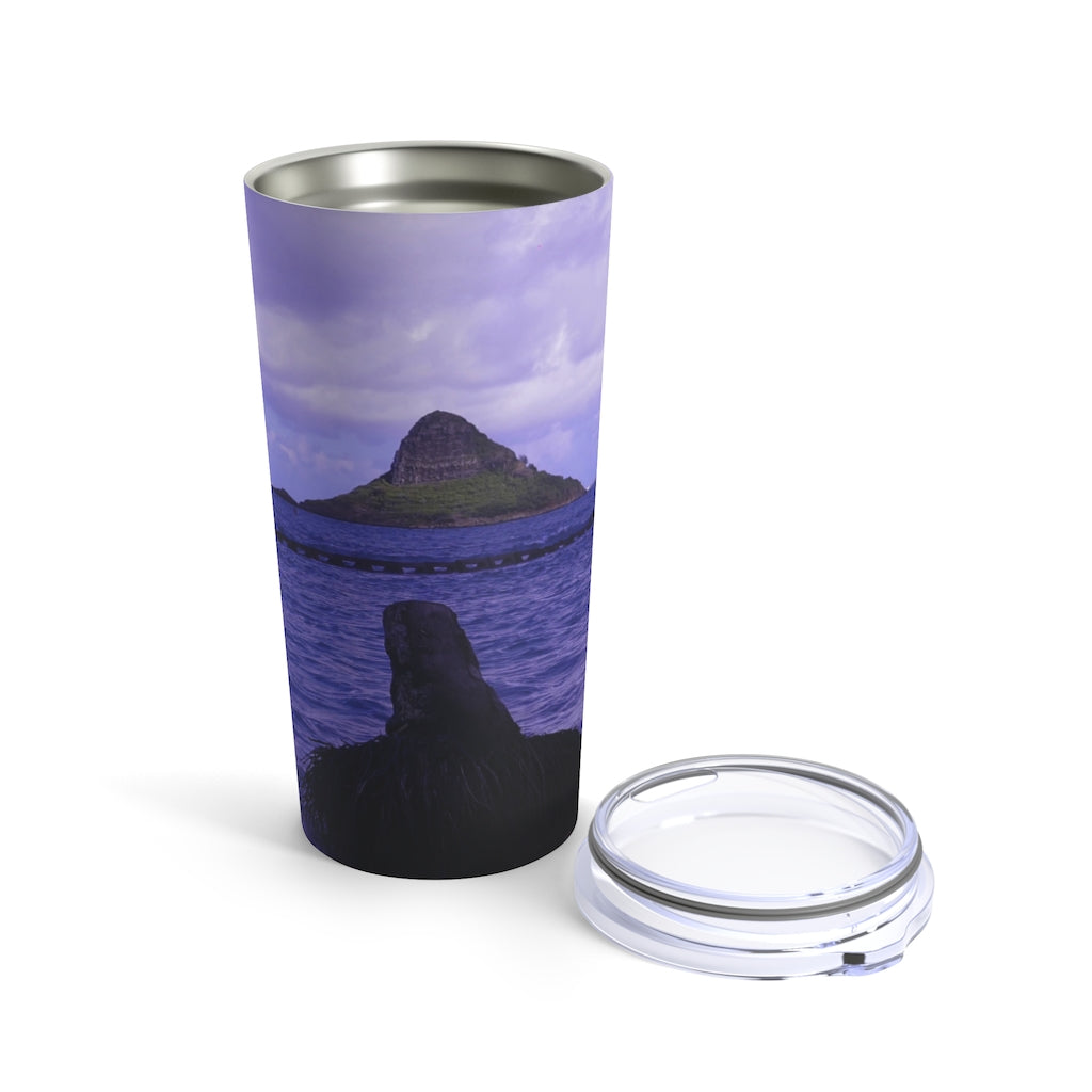 "Wade to Chinaman's Hat" - Stainless Steel Tumbler 20 oz - Fry1Productions