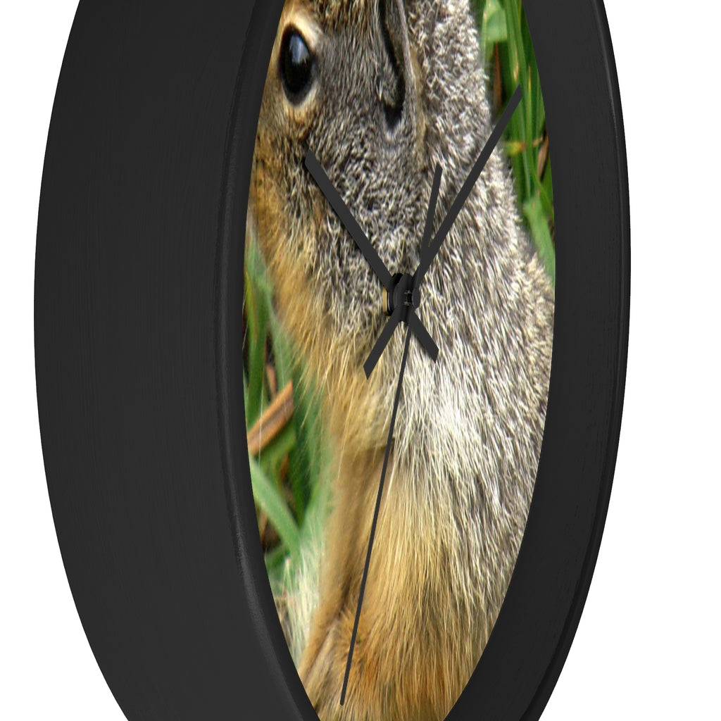 "Inquisitive Stare" - 10" Wooden Frame Wall Clock - Fry1Productions