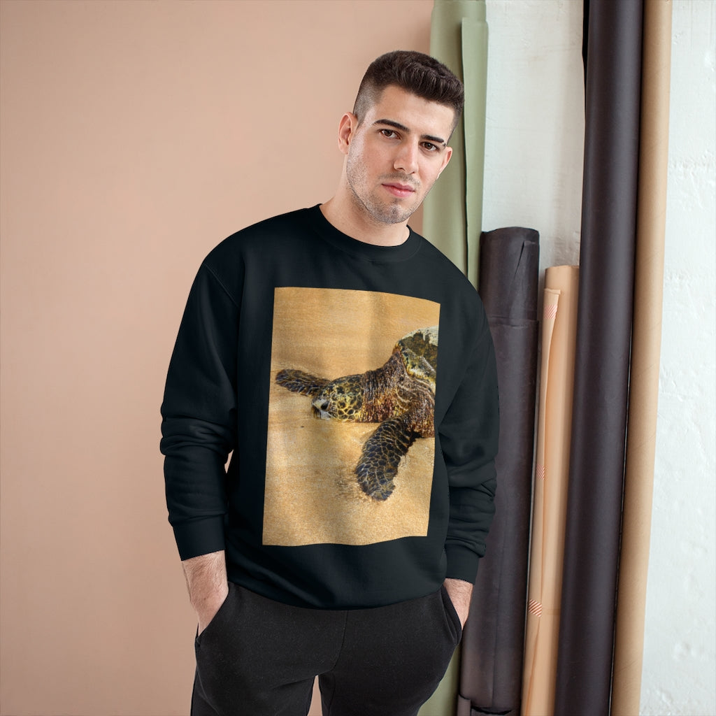 Glistening Journey - Champion Sweatshirt - Fry1Productions