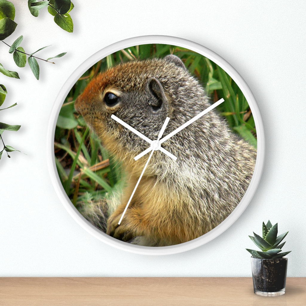 "Inquisitive Stare" - 10" Wooden Frame Wall Clock - Fry1Productions