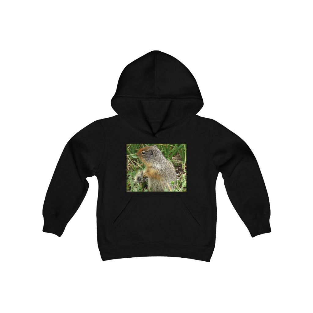 "Inquisitive Stare" - Youth Heavy Blend Hooded Sweatshirt - Fry1Productions