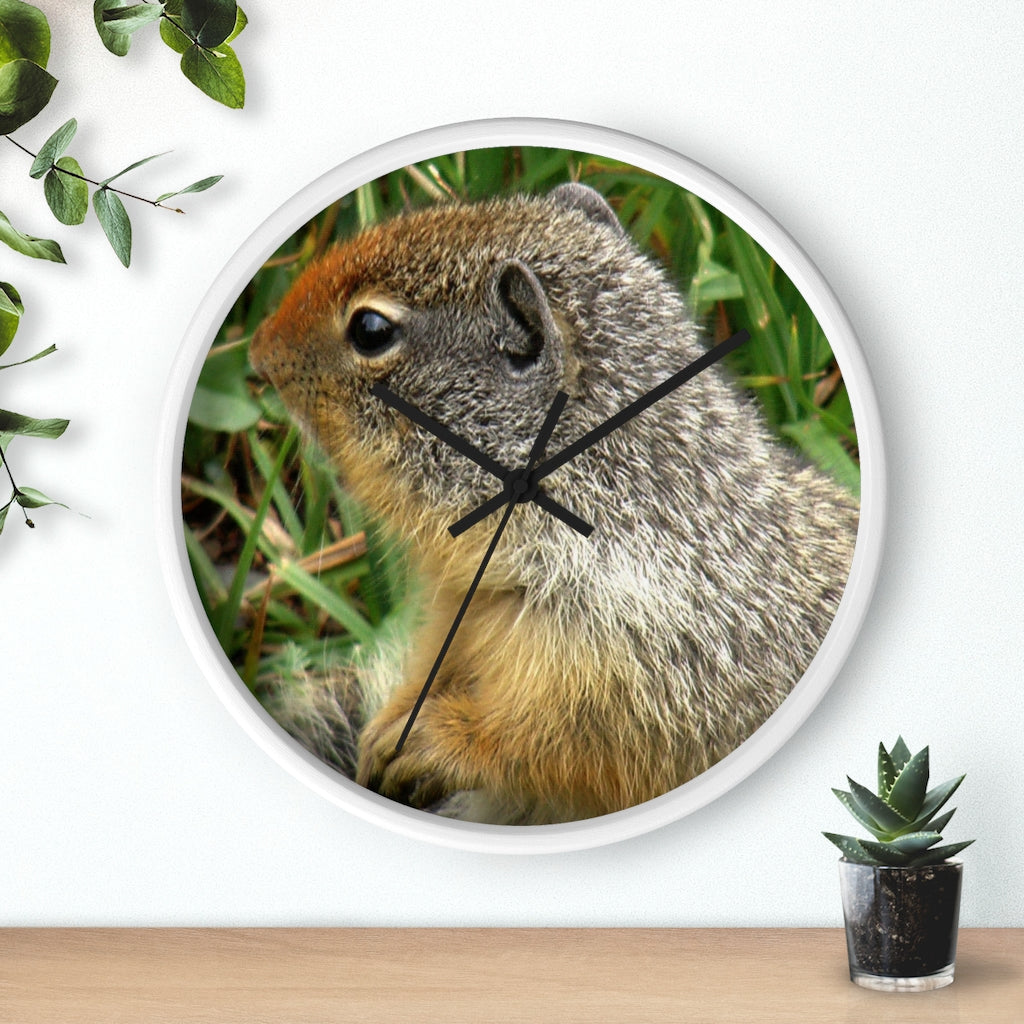 "Inquisitive Stare" - 10" Wooden Frame Wall Clock - Fry1Productions