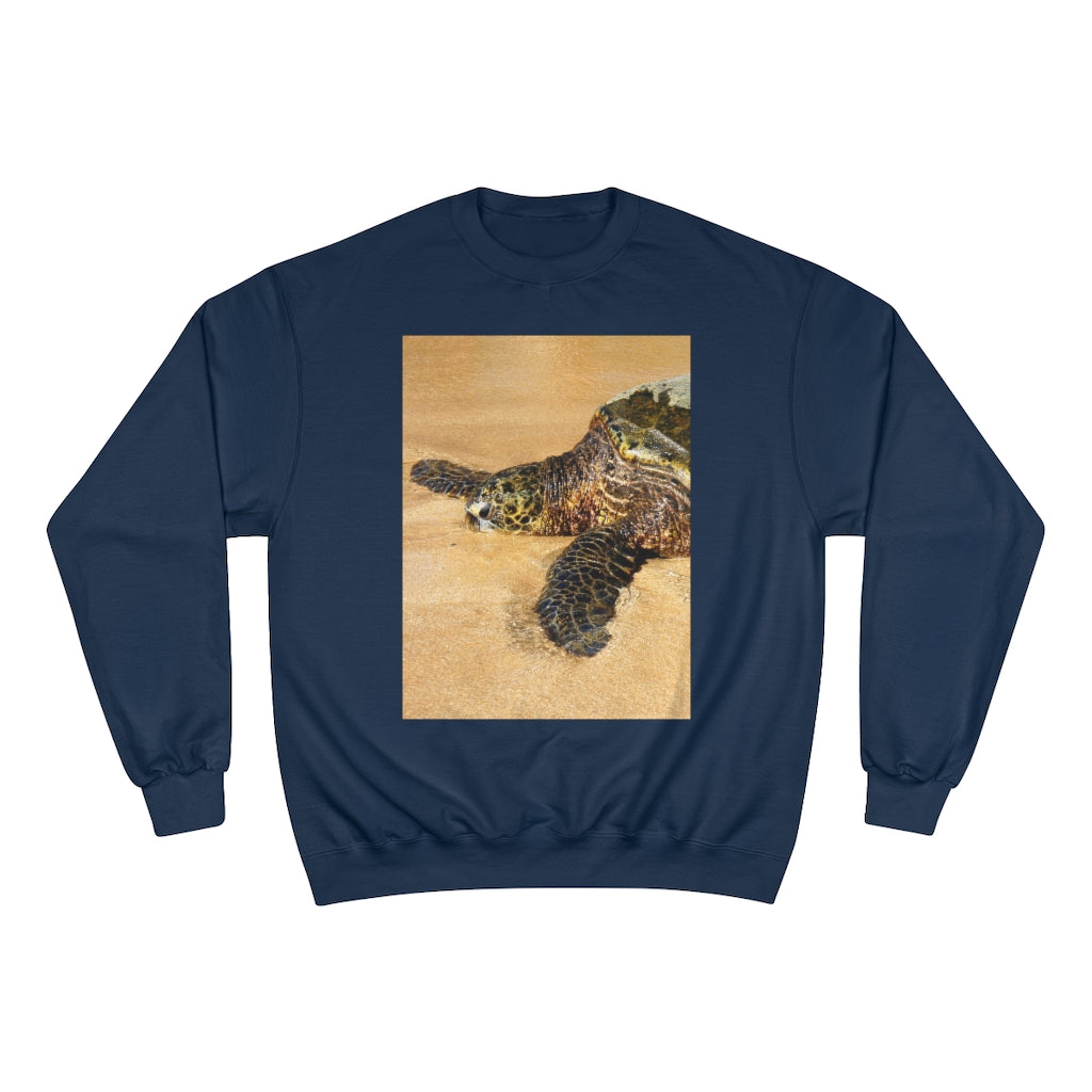 Glistening Journey - Champion Sweatshirt - Fry1Productions
