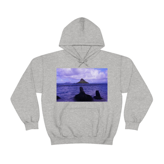 Wade To Chinaman's Hat - Unisex Heavy Blend Hooded Sweatshirt - Fry1Productions
