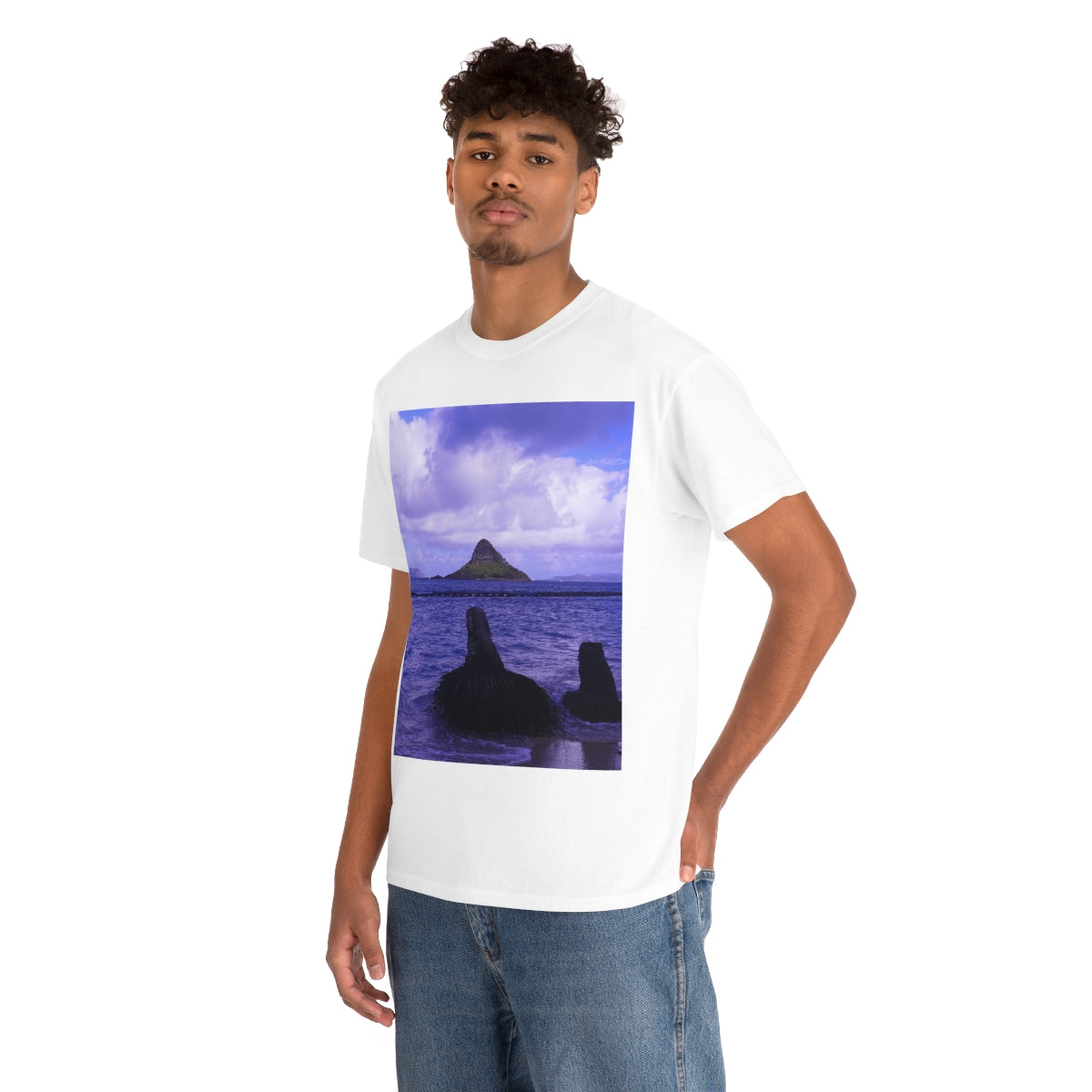 Wade To Chinaman's Hat - Unisex Heavy Cotton Tee - Fry1Productions
