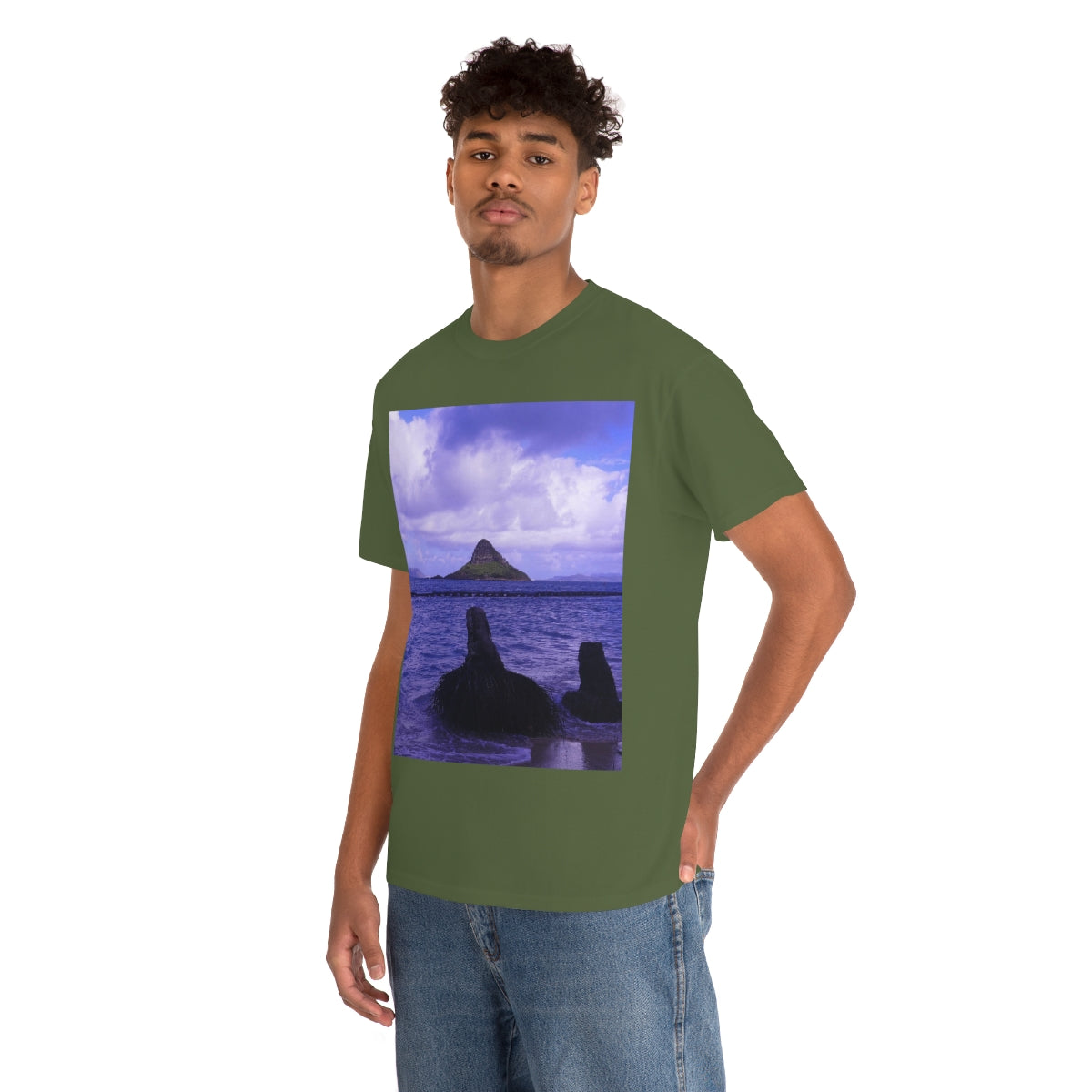 Wade To Chinaman's Hat - Unisex Heavy Cotton Tee - Fry1Productions