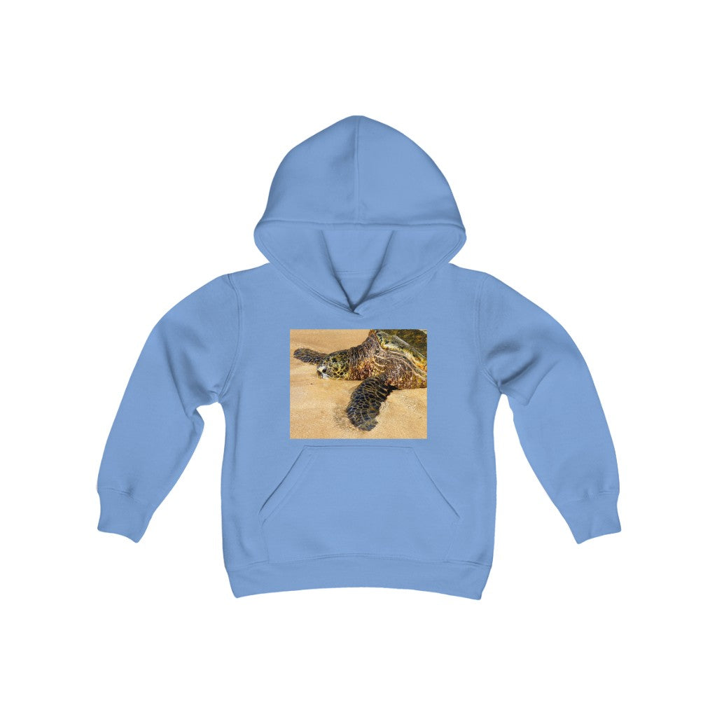 "Glistening Journey" - Youth Heavy Blend Hooded Sweatshirt - Fry1Productions