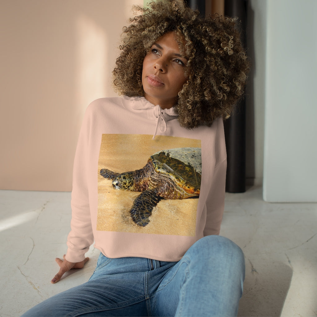 Glistening Journey - Crop Hoodie - Fry1Productions