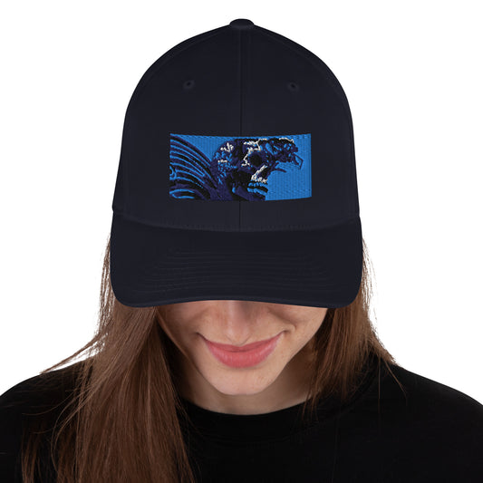 Skull Warrior (Color) - Closed Back Structured Hat - Fry1Productions