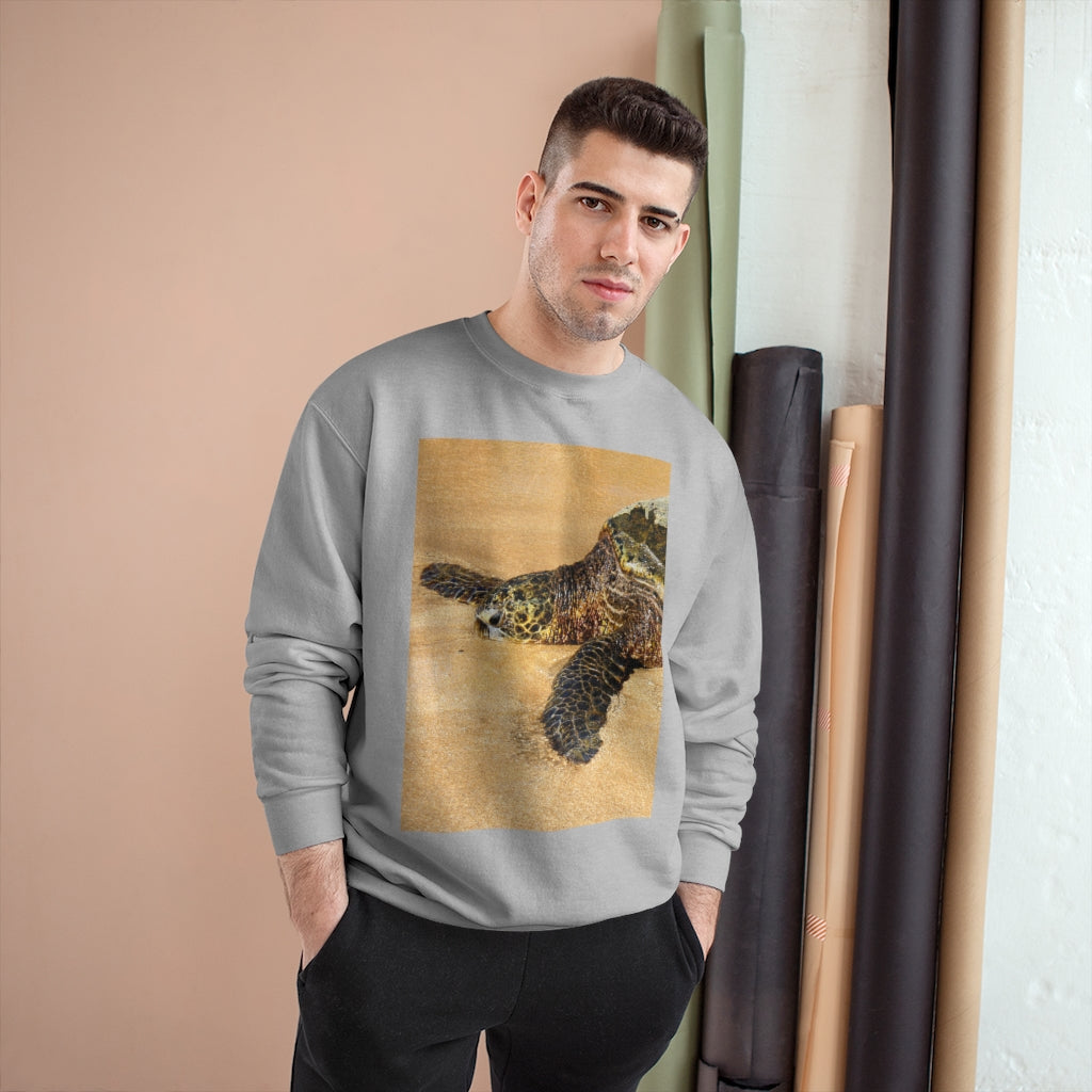 Glistening Journey - Champion Sweatshirt - Fry1Productions