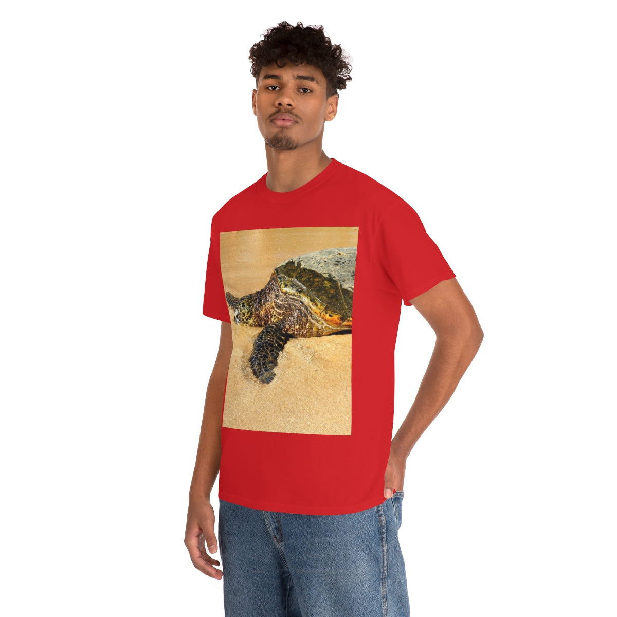 Glistening Journey - Unisex Heavy Cotton Tee - Fry1Productions