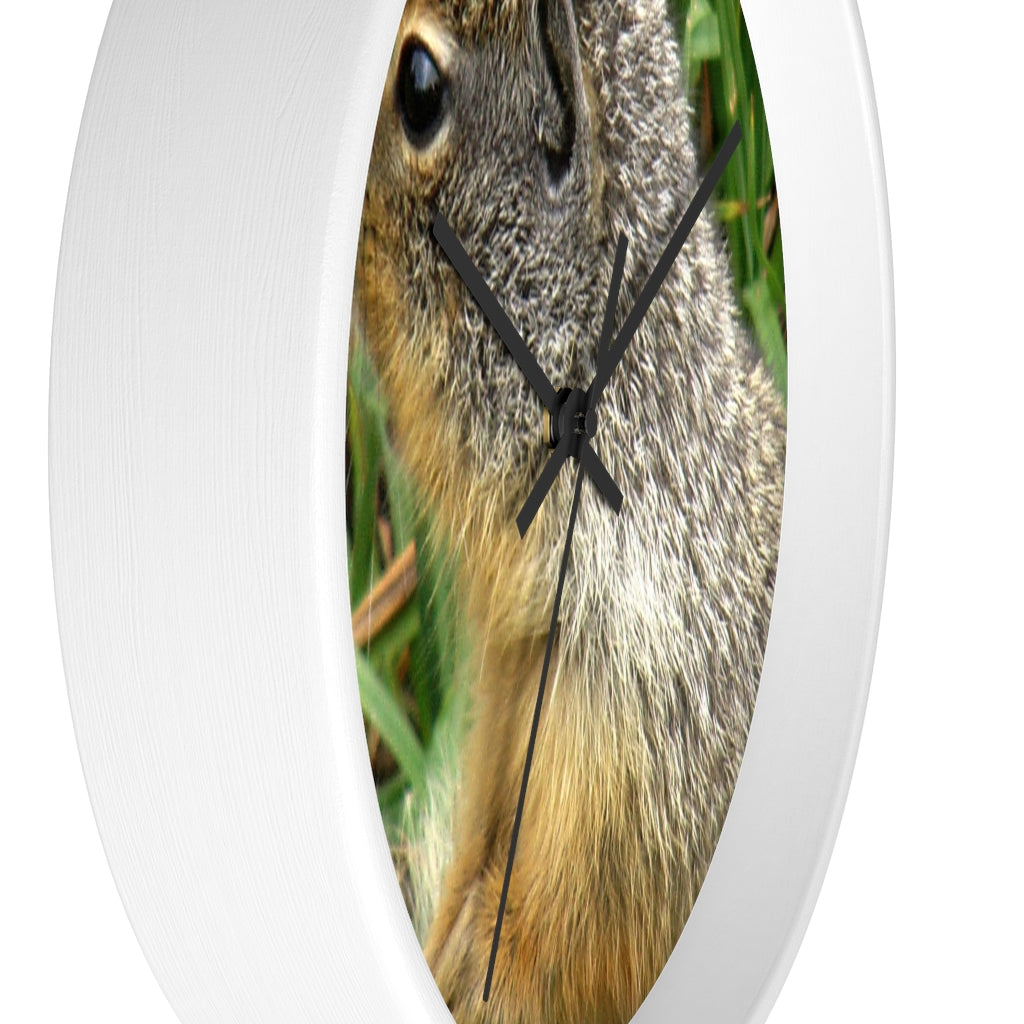 "Inquisitive Stare" - 10" Wooden Frame Wall Clock - Fry1Productions