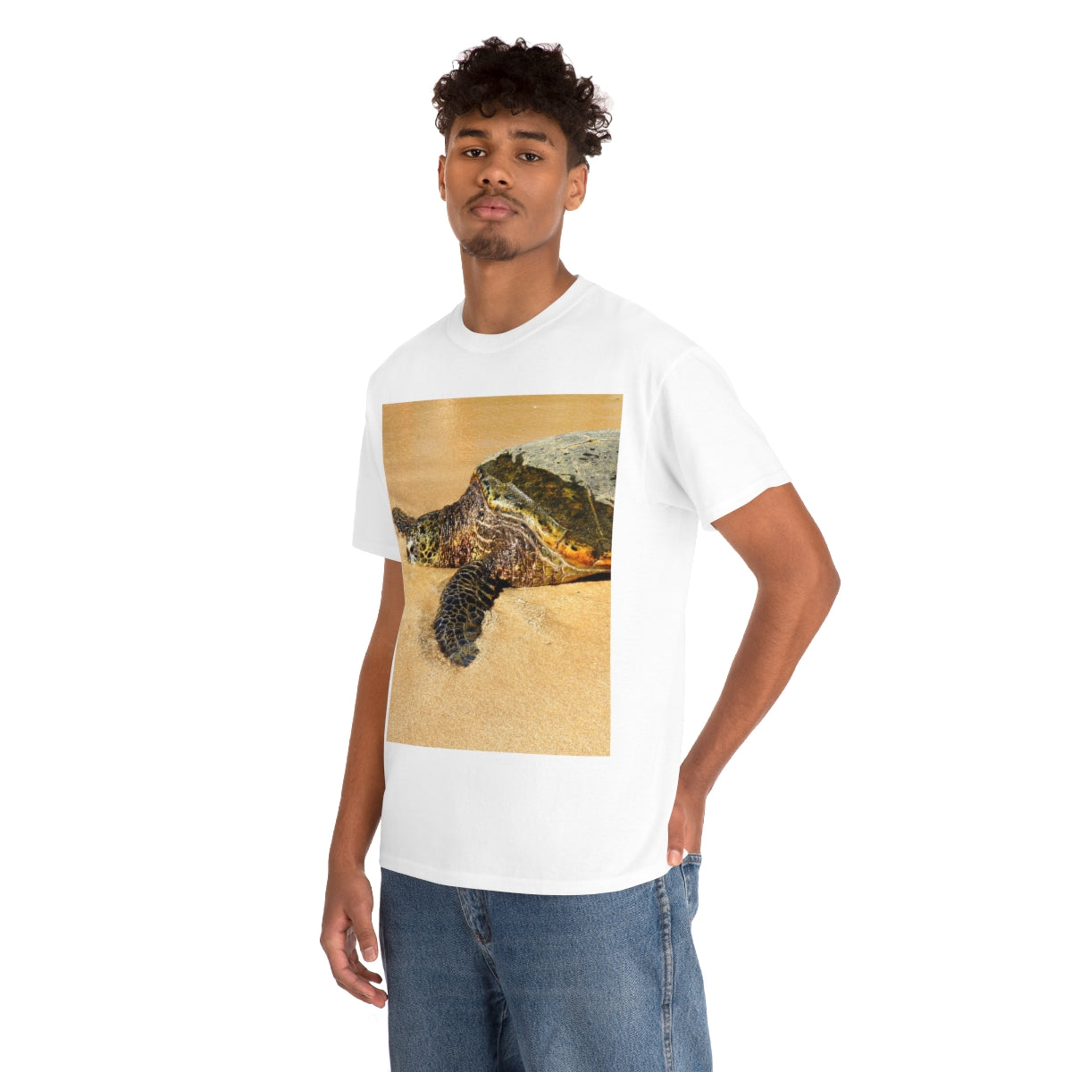 Glistening Journey - Unisex Heavy Cotton Tee - Fry1Productions