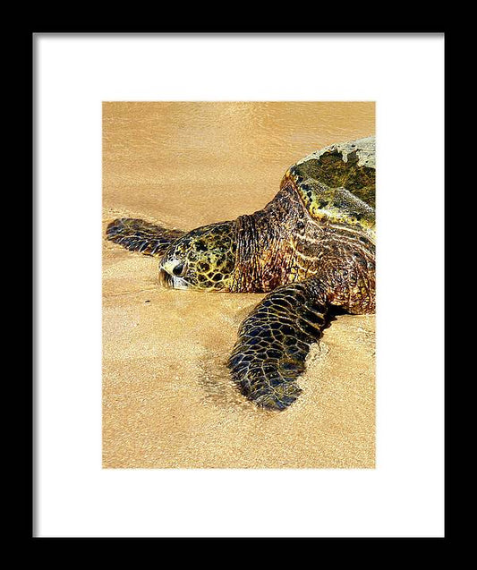 Glistening Journey - Framed Print - Fry1Productions
