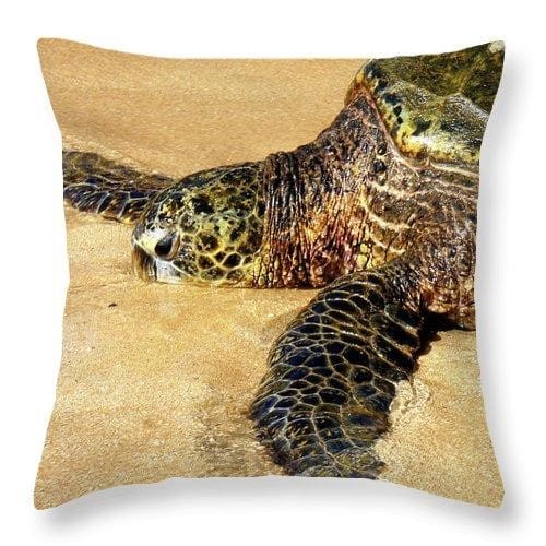 Glistening Journey - Throw Pillow - Fry1Productions