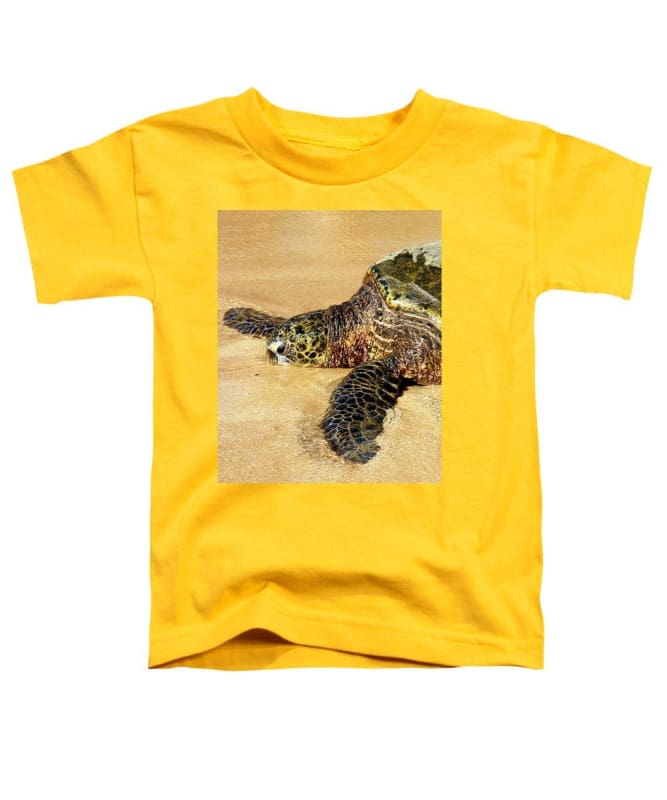 Glistening Journey - Toddler T-Shirt - Fry1Productions