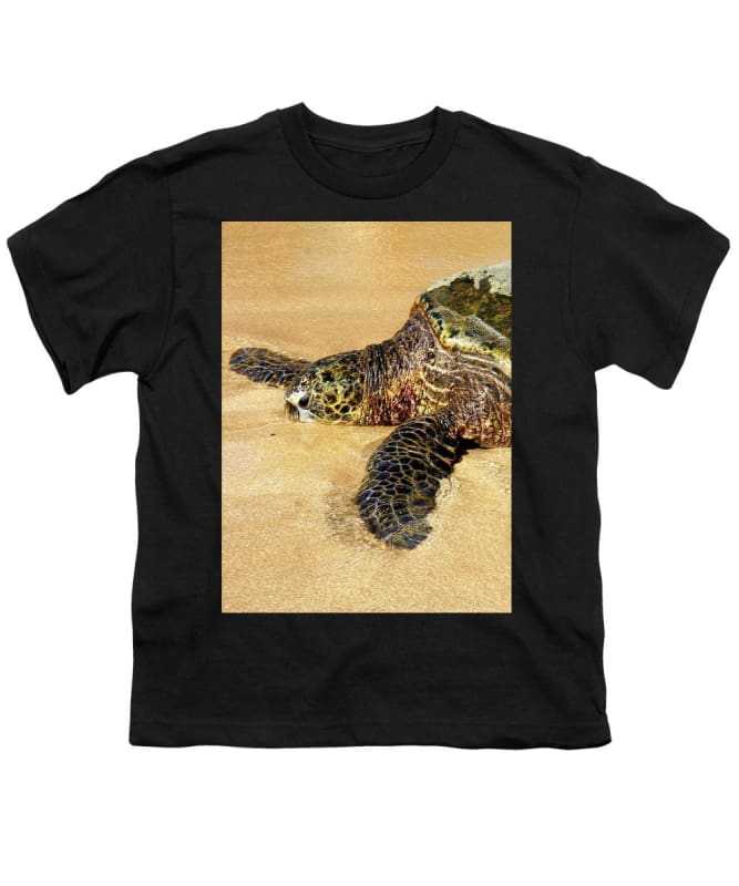 "Glistening Journey" - Youth T-Shirt - Fry1Productions