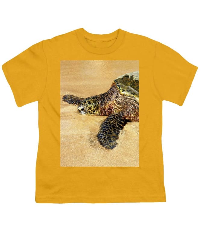 "Glistening Journey" - Youth T-Shirt - Fry1Productions