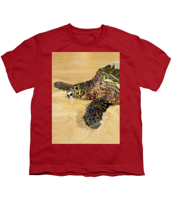 "Glistening Journey" - Youth T-Shirt - Fry1Productions