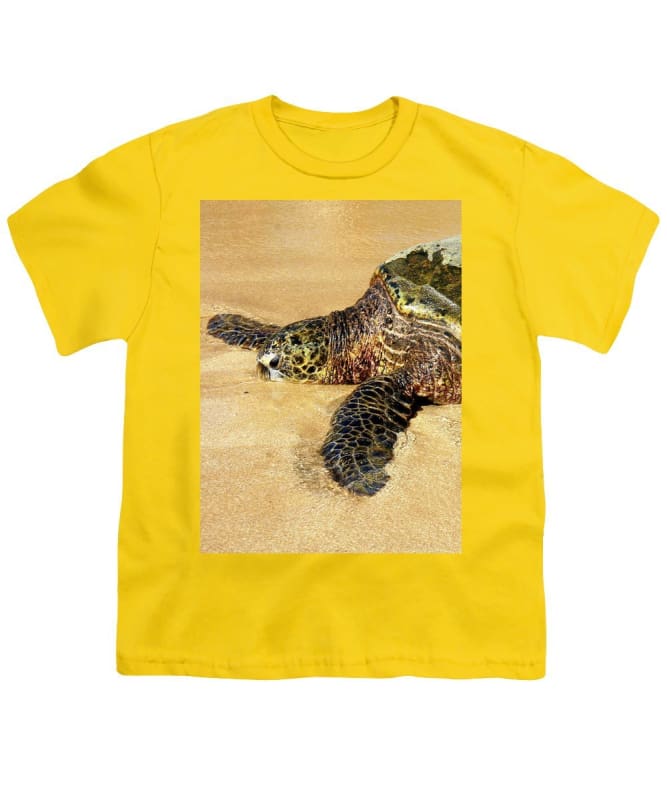 "Glistening Journey" - Youth T-Shirt - Fry1Productions
