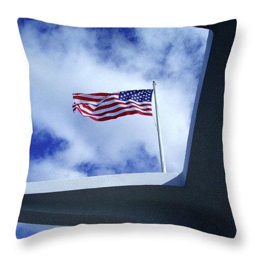 In Solemn Remembrance - Throw Pillow - Fry1Productions